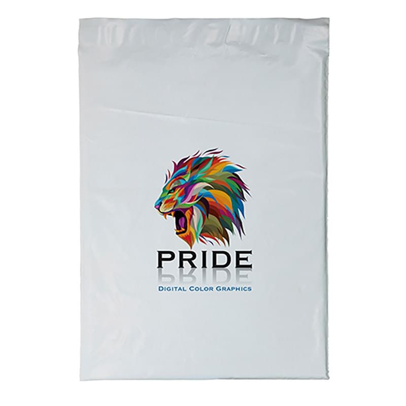 12 x 15.5 Plastic Mailer - Dynamic Color