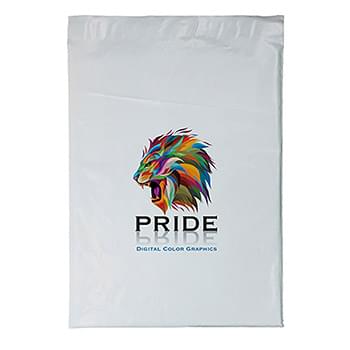 12 x 15.5 Plastic Mailer - Dynamic Color